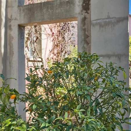 Magnifique Holiday home Bastia (Corsica)